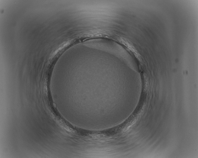 X0000076270681200610051311