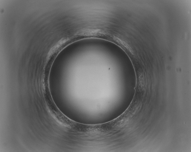 X0000076270682200610051311