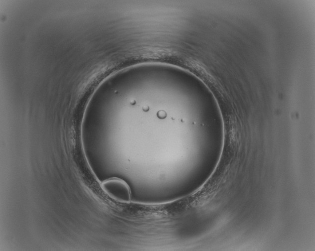 X0000076270683200610051311