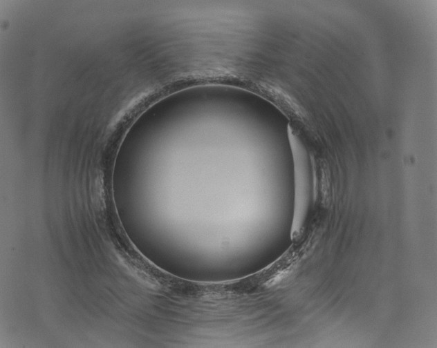 X0000076270684200610051311