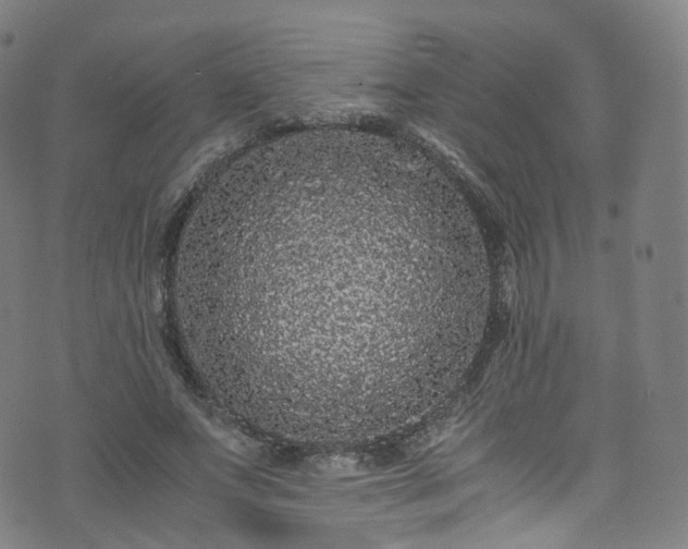 X0000076270687200610051311