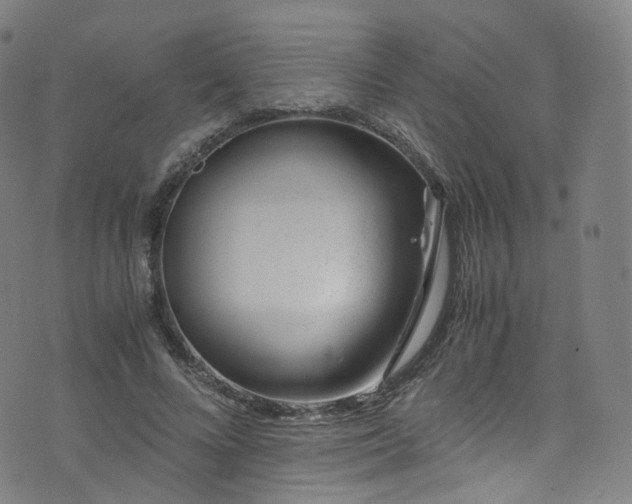 X0000076270688200610051311