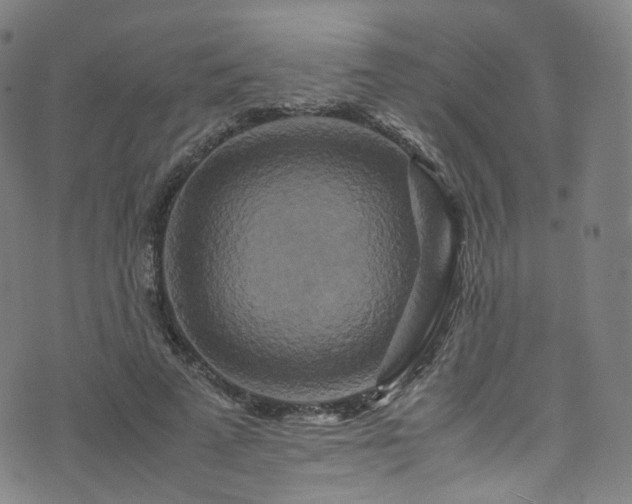 X0000076270689200610051311