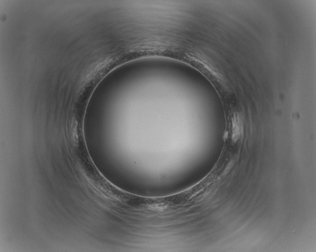 X0000076270692200610051311