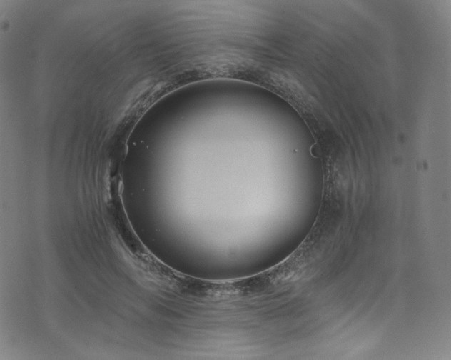 X0000076270694200610051311