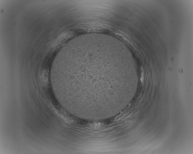 X0000076270695200610051311