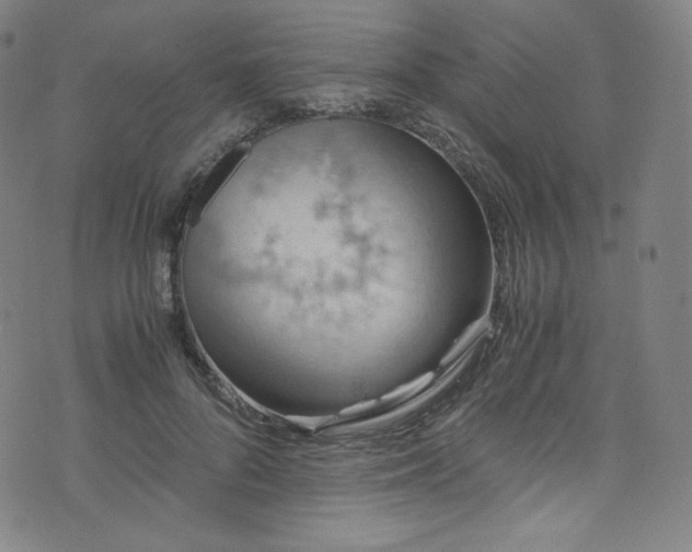 X0000076270696200610051311