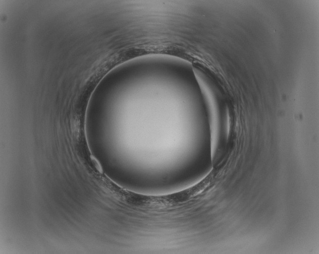 X0000076270697200610051311