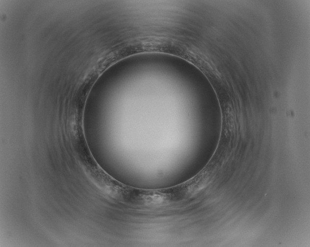 X0000076270698200610051311