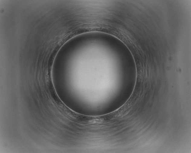 X0000076270700200610051311