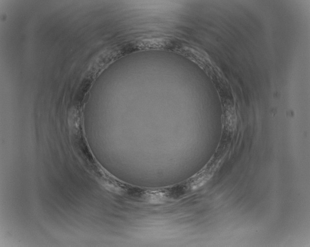 X0000076270701200610051311