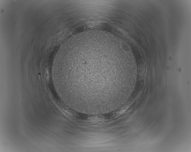 X0000076270703200610051311