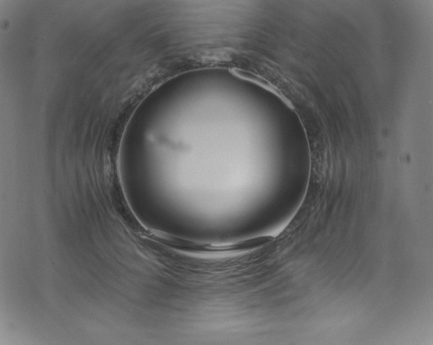 X0000076270704200610051311