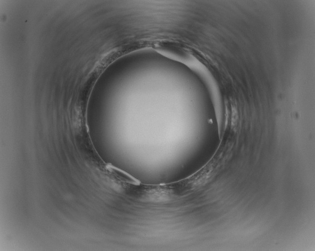 X0000076270708200610051311