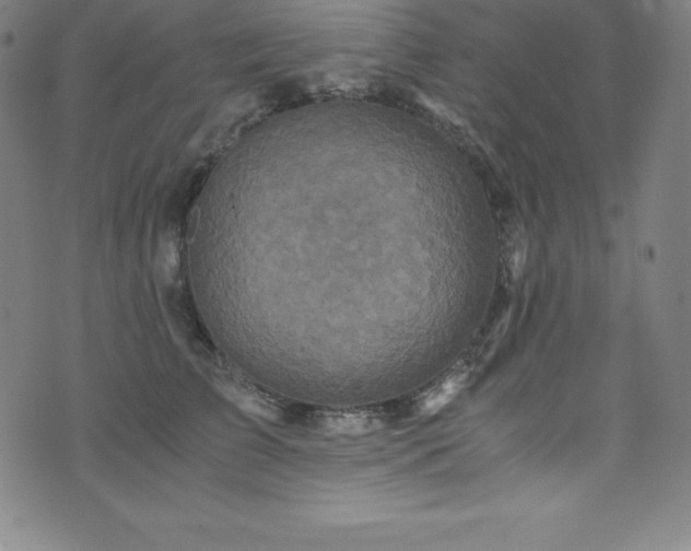 X0000076270709200610051311