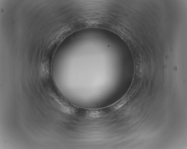 X0000076270710200610051311