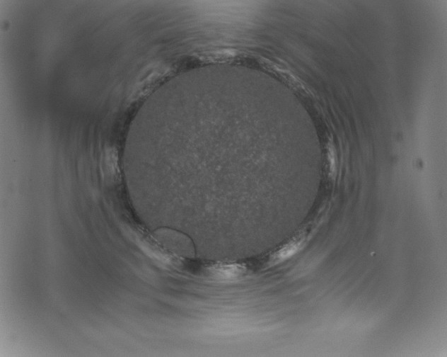 X0000076270711200610051311