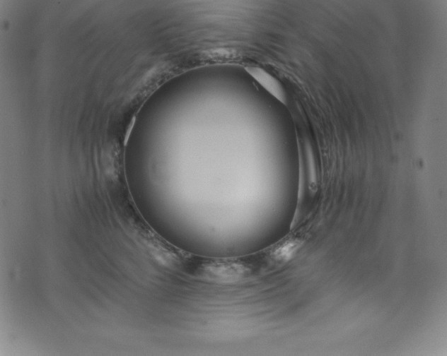 X0000076270712200610051311