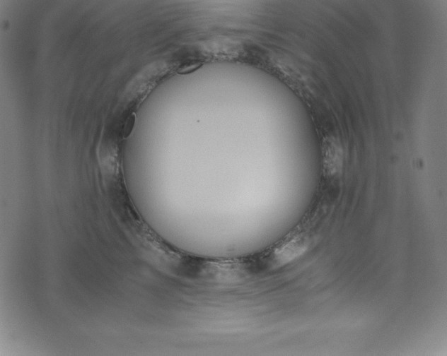 X0000076270713200610051311