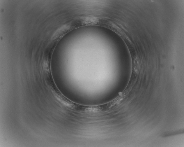 X0000076270714200610051311