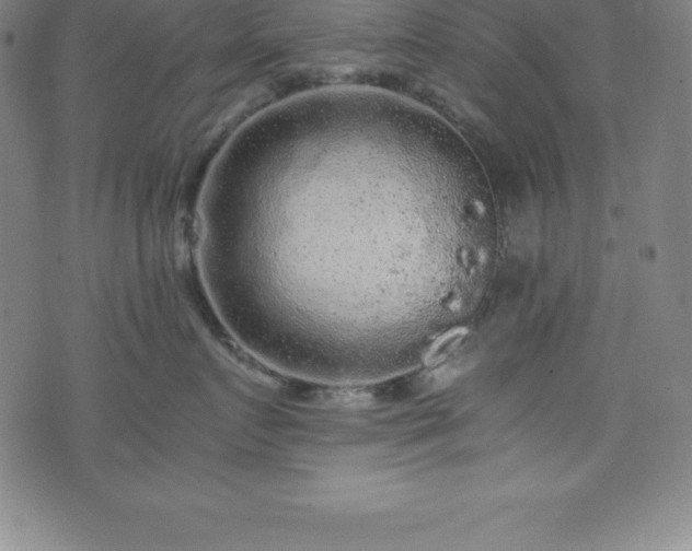 X0000076270719200610051310