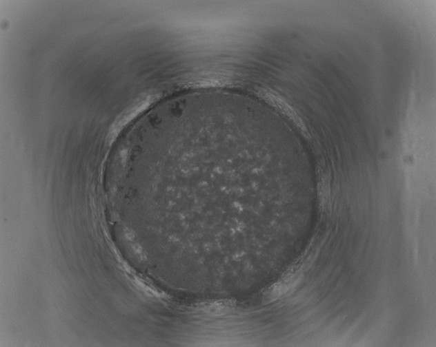 X0000076270721200610051310