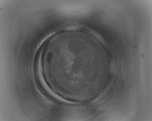 X0000076270722200610051310