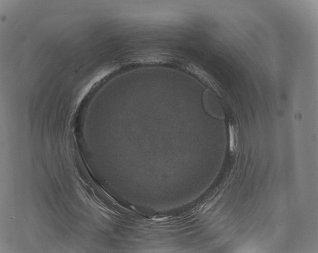 X0000076270723200610051310