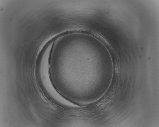 X0000076270724200610051310