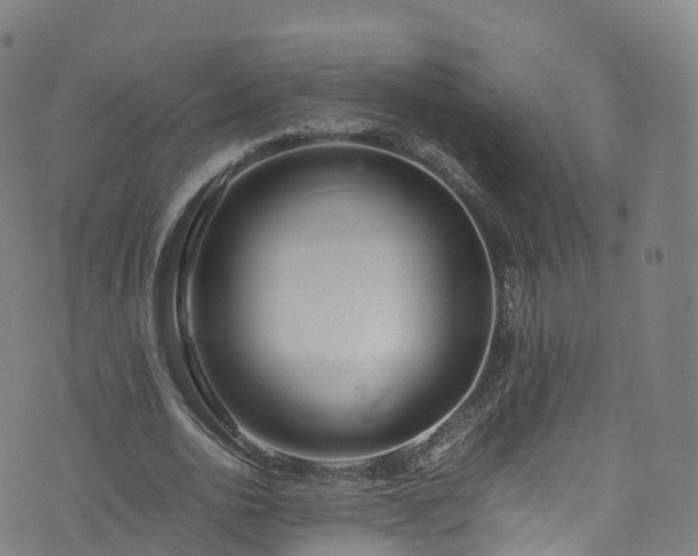 X0000076270726200610051310