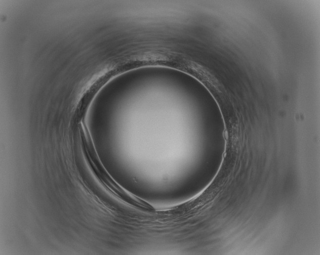 X0000076270727200610051310