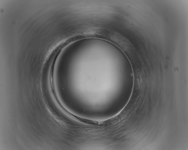 X0000076270728200610051310