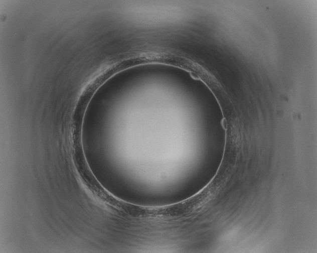 X0000076270730200610051310