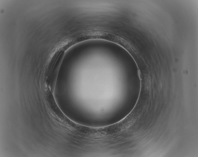 X0000076270731200610051310