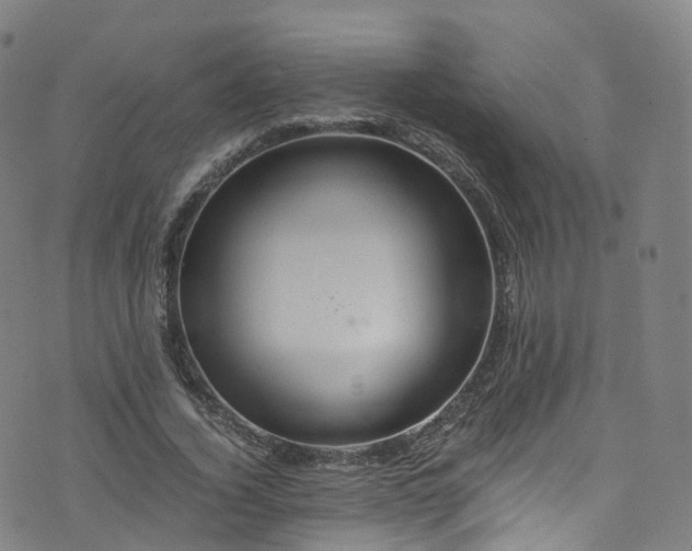 X0000076270732200610051310