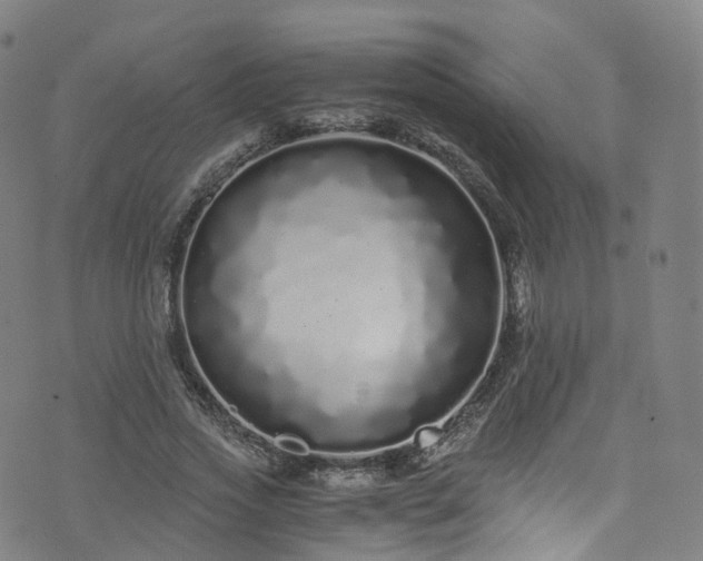 X0000076270733200610051310