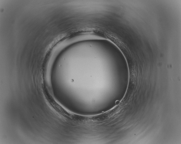 X0000076270734200610051310