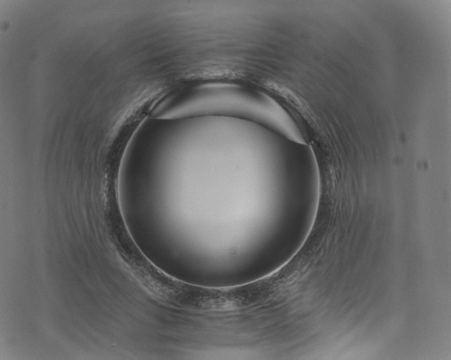 X0000076270735200610051310