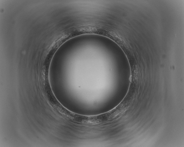 X0000076270739200610051310