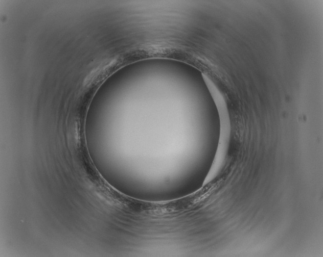 X0000076270740200610051310