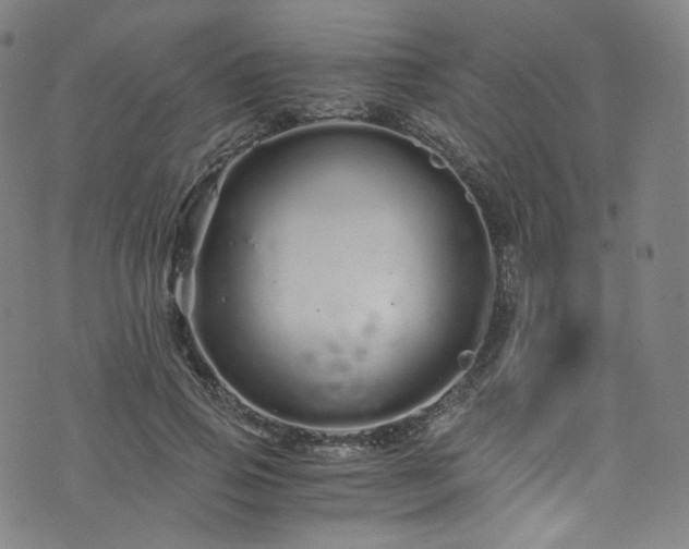 X0000076270741200610051310