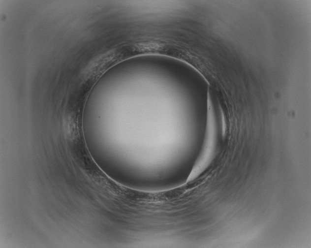 X0000076270743200610051310