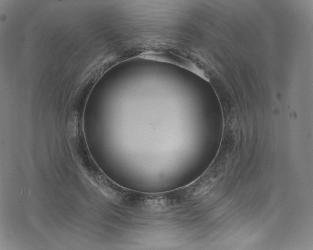 X0000076270744200610051310