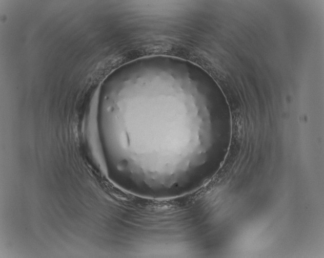 X0000076270745200610051310