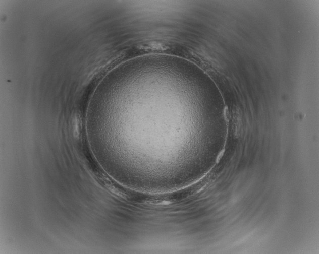 X0000076270747200610051310