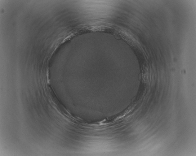 X0000076270748200610051310