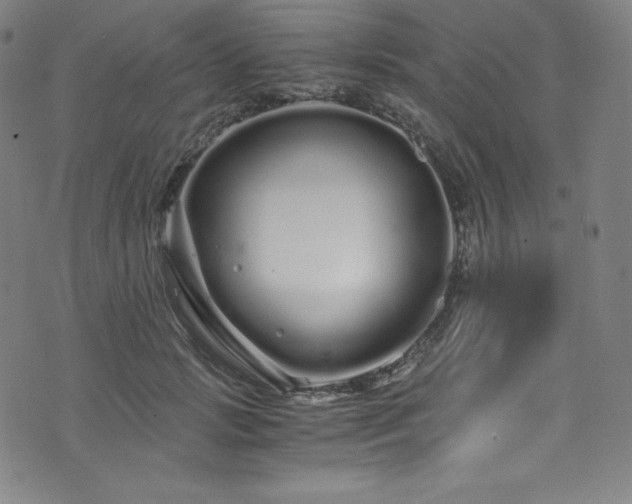 X0000076270749200610051310