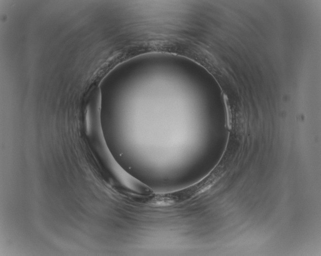 X0000076270750200610051310