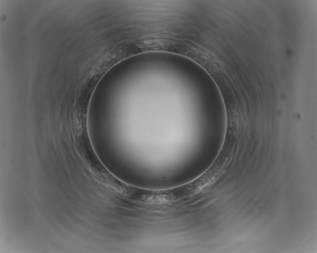 X0000076270751200610051310