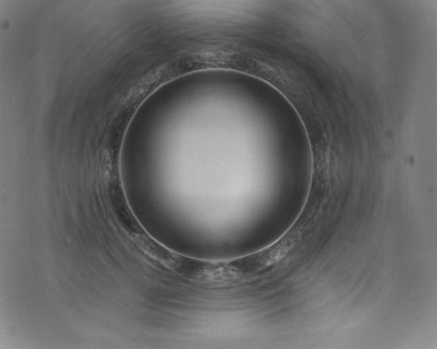 X0000076270752200610051310